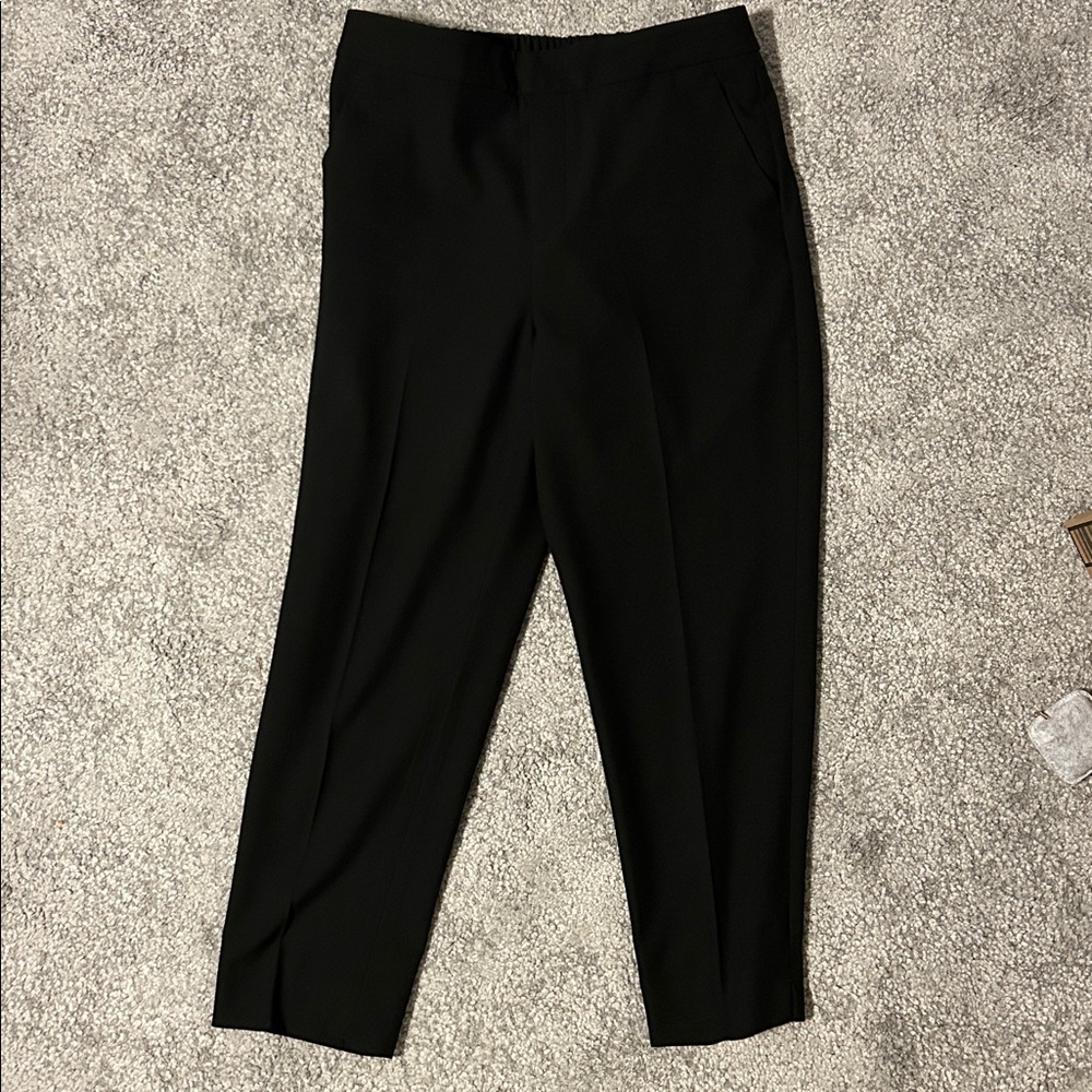 Banana Republic Hayden Pant 10P